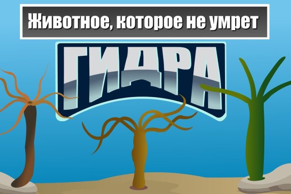 Кракен ссылка тор kr2web in