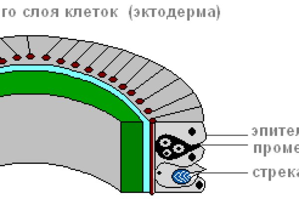 Как восстановить аккаунт на кракене